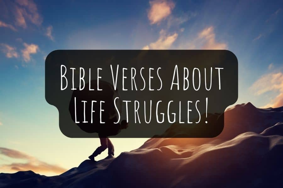 Bible Verses About Life Struggles
