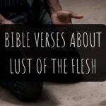 Bible Verses About Lust Of The Flesh