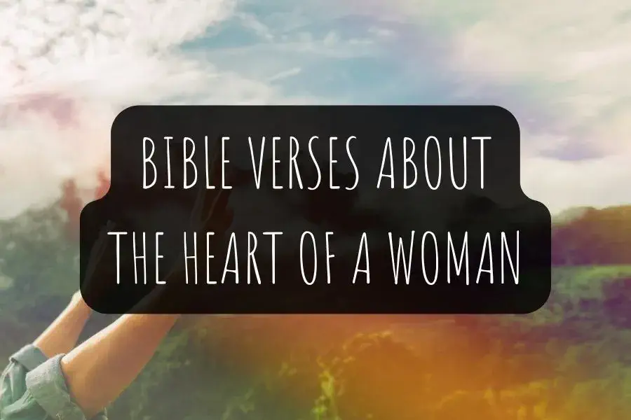 Bible Verses About The Heart Of A Woman